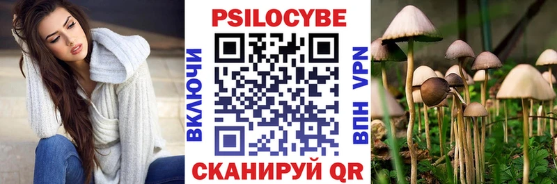 сколько стоит  Фурманов  Галлюциногенные грибы MAGIC MUSHROOMS 