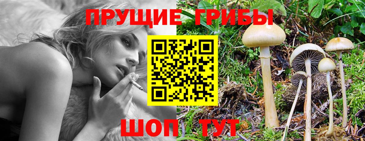 Галлюциногенные грибы ЛСД  Вход с VPN  купить наркоту  Псилоцибиновые грибы Magic Shrooms  Фурманов 